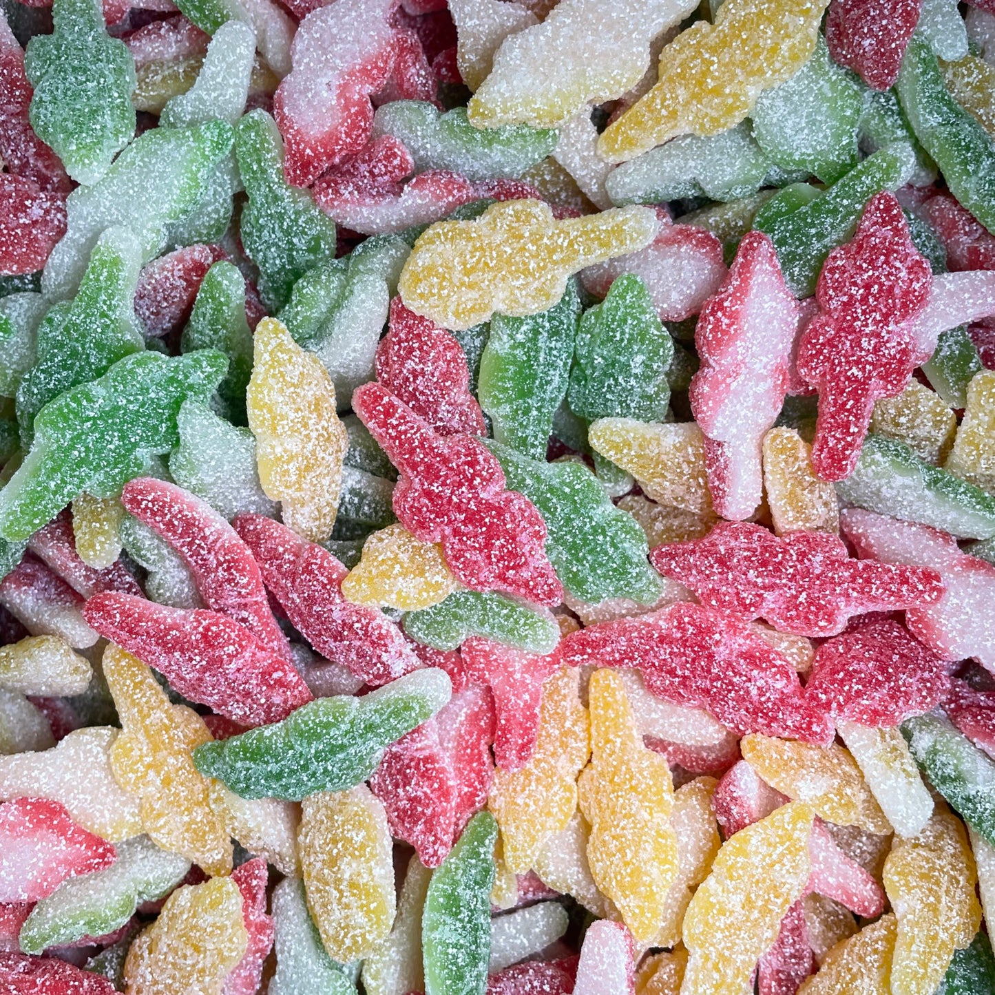 Sour Crocodiles